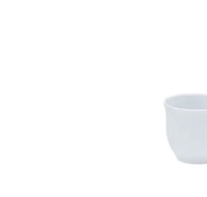 Nastaran Cup